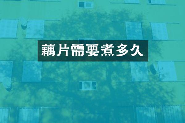 藕片需要煮多久