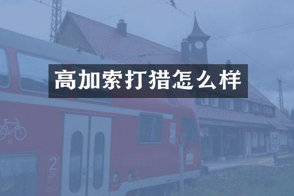 高加索打猎怎么样