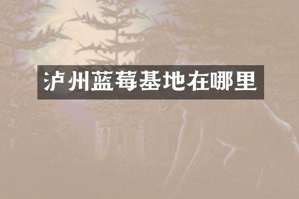 泸州蓝莓基地在哪里