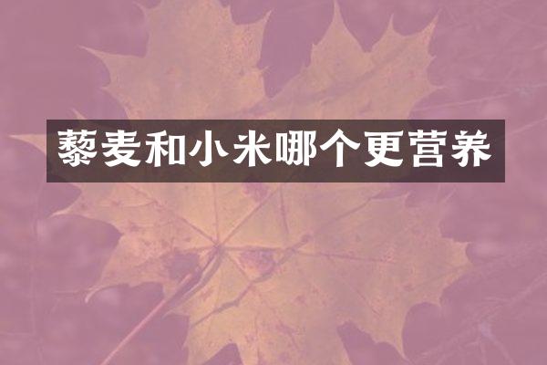藜麦和小米哪个更营养