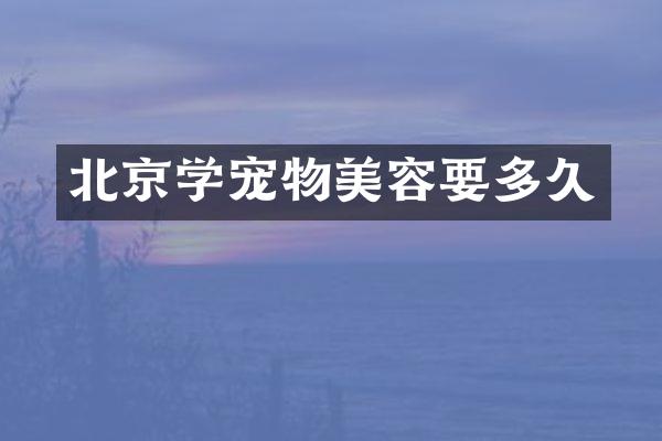 北京学宠物美容要多久