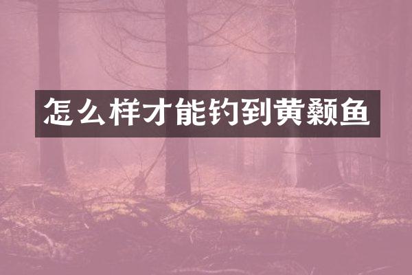 怎么样才能钓到黄颡鱼