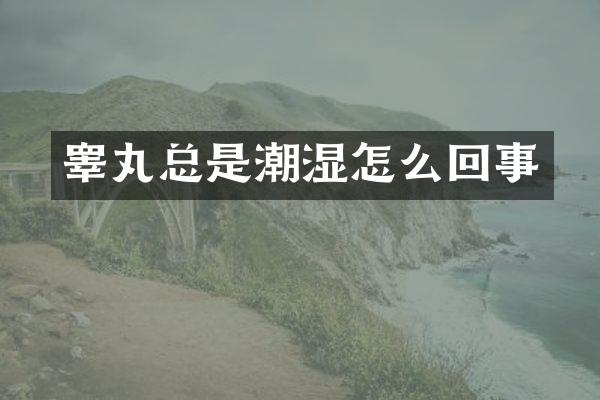 睾丸总是潮湿怎么回事