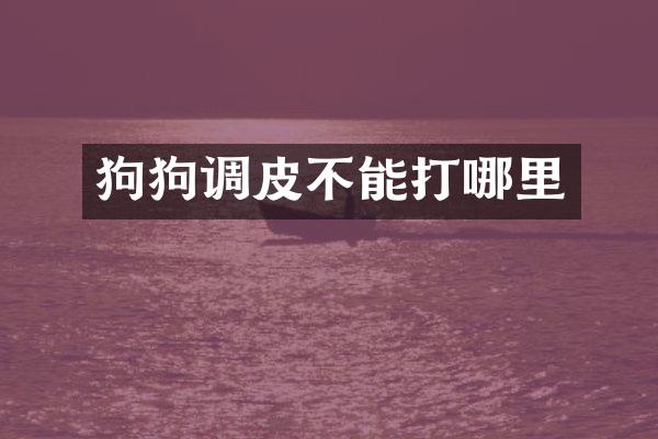 狗狗调皮不能打哪里