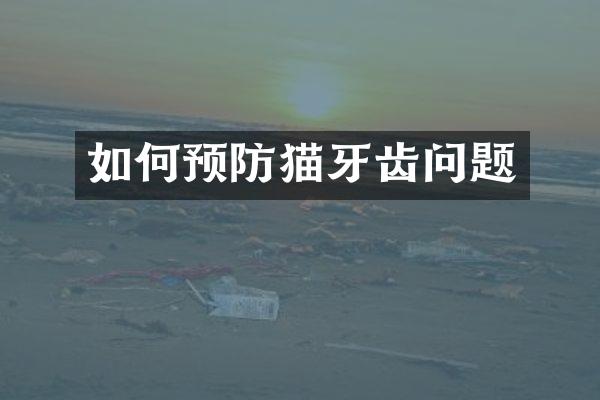如何预防猫牙齿问题