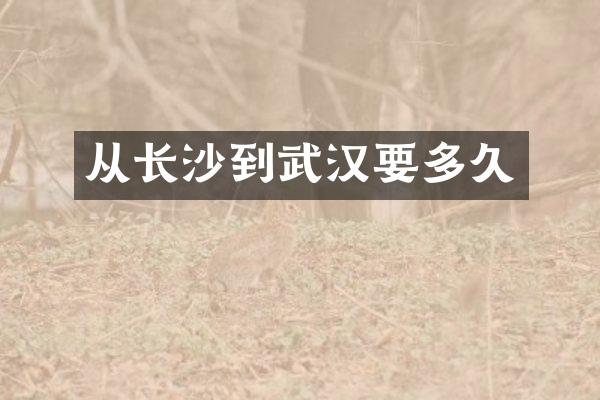 从长沙到武汉要多久