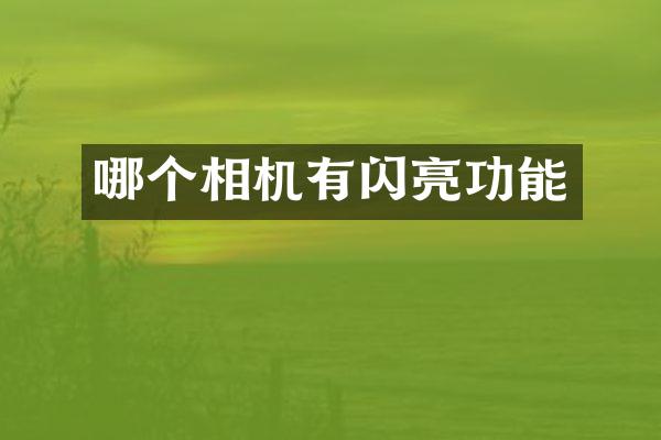 哪个相机有闪亮功能