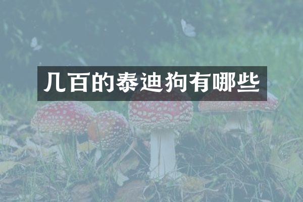 几百的泰迪狗有哪些