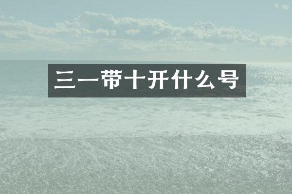 三一带十开什么号
