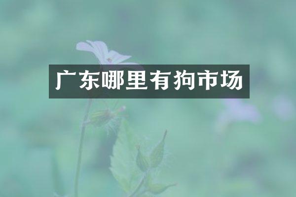 广东哪里有狗市场