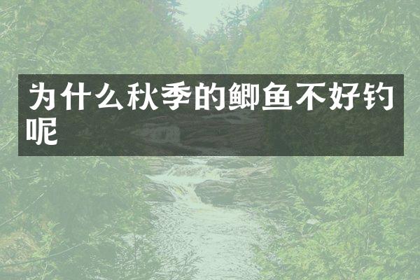 为什么秋季的鲫鱼不好钓呢