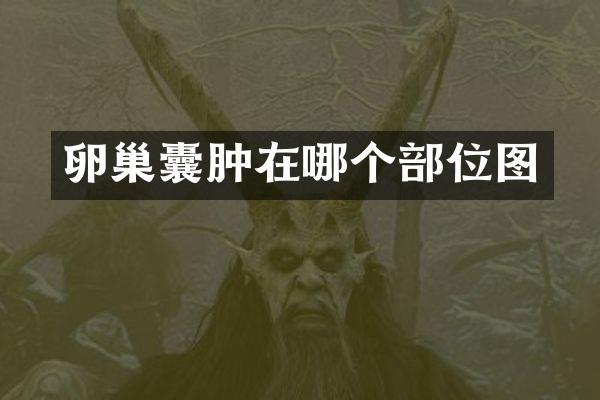 卵巢囊肿在哪个部位图