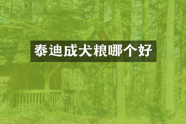 泰迪成犬粮哪个好