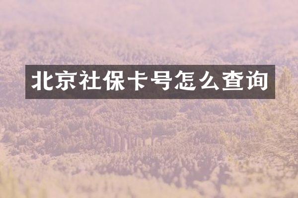 北京社保卡号怎么查询