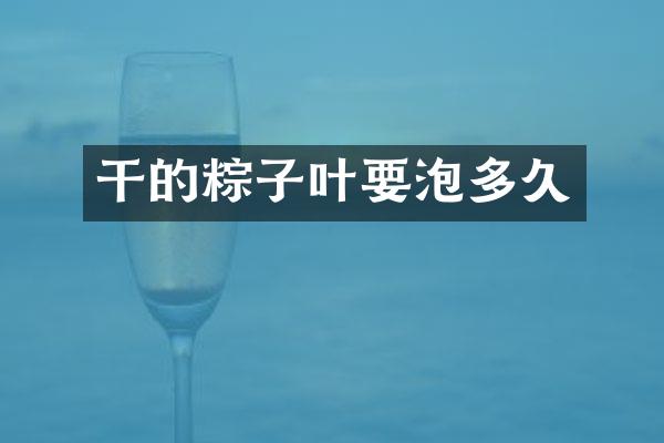 干的粽子叶要泡多久