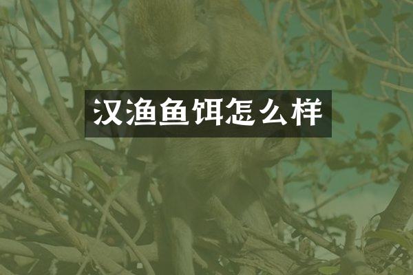 汉渔鱼饵怎么样