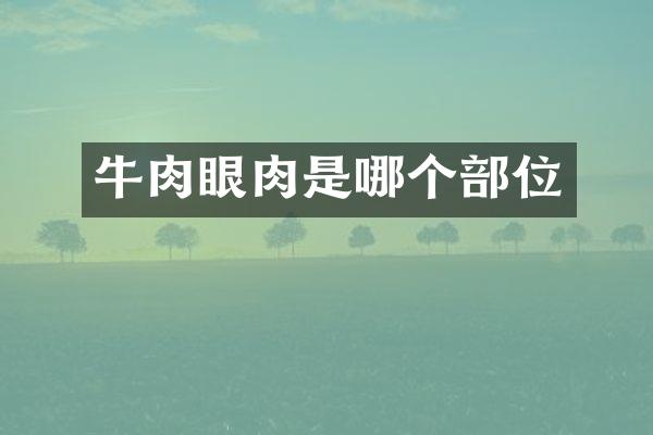牛肉眼肉是哪个部位