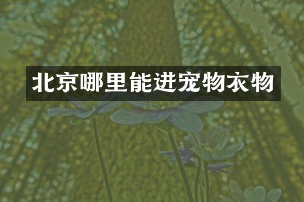 北京哪里能进宠物衣物