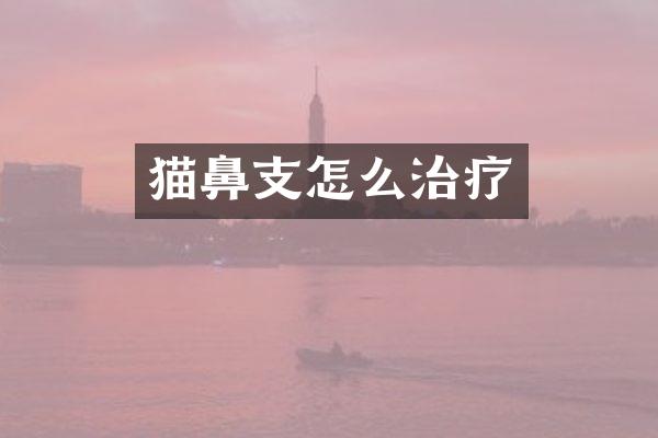 猫鼻支怎么治疗
