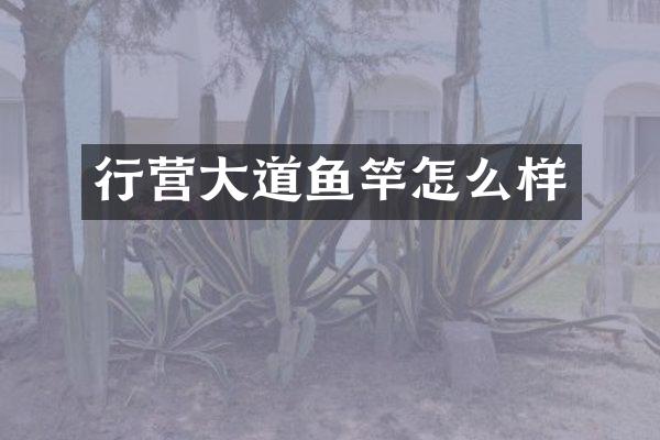 行营大道鱼竿怎么样
