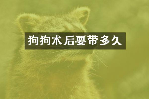 狗狗术后要带多久