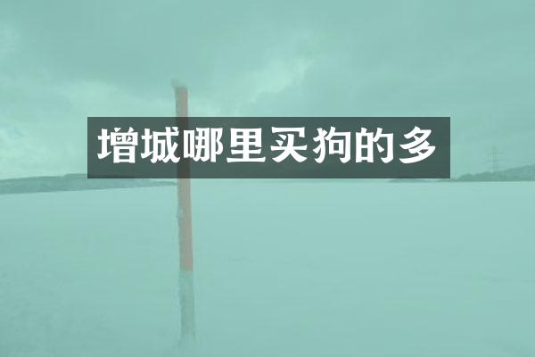 增城哪里买狗的多