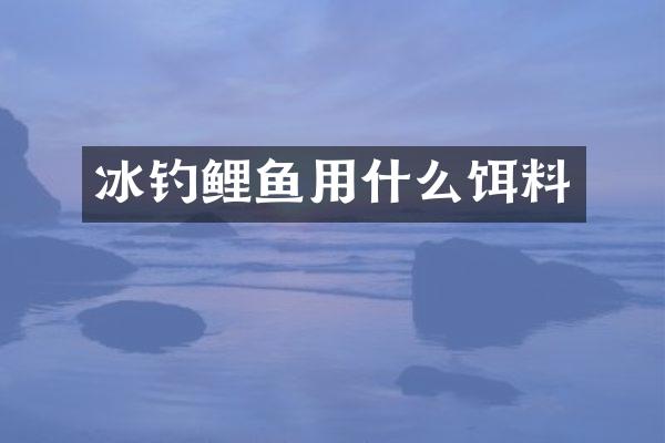 冰钓鲤鱼用什么饵料