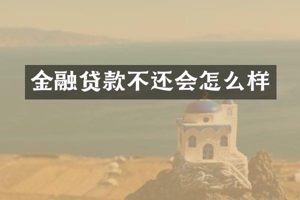 金融贷款不还会怎么样