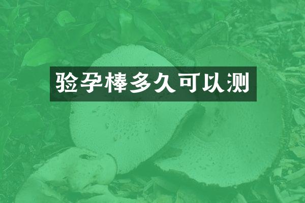 验孕棒多久可以测