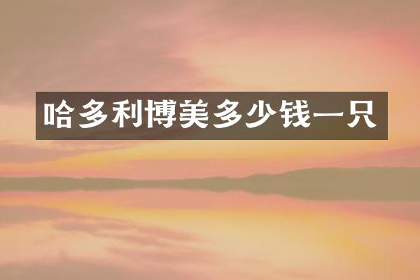 哈多利博美多少钱一只