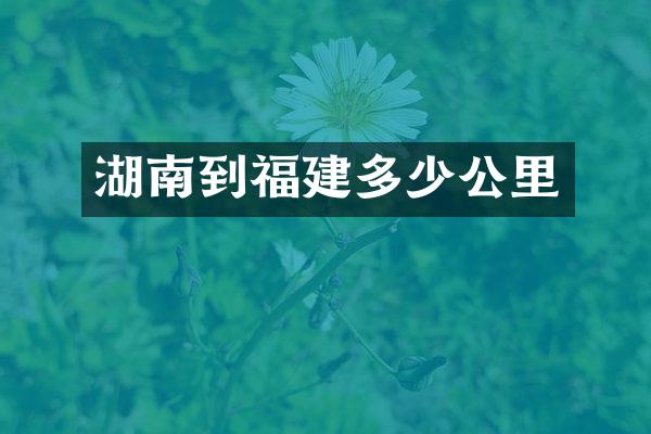 湖南到福建多少公里