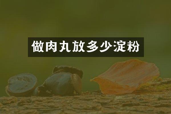 做肉丸放多少淀粉