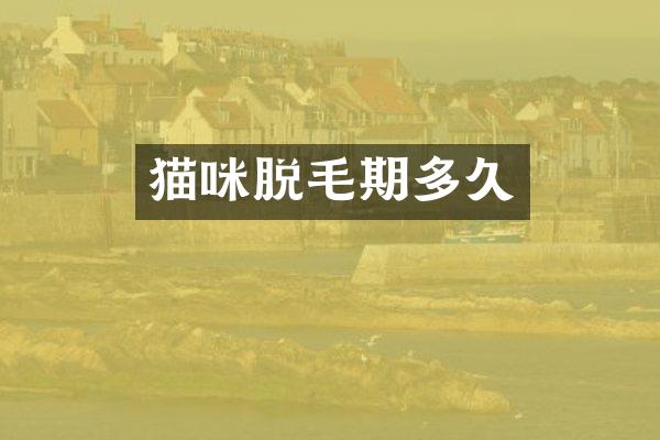 猫咪脱毛期多久