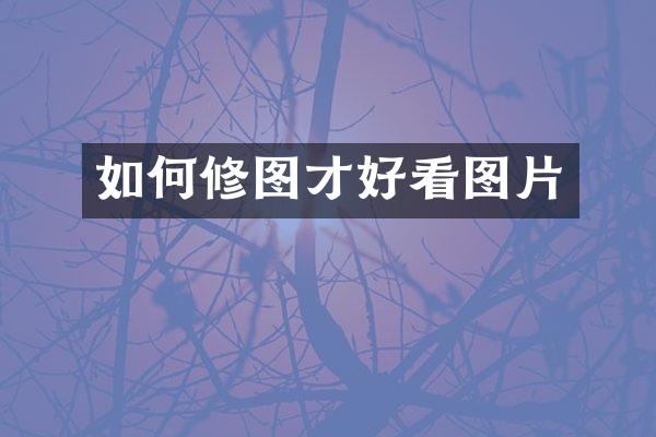 如何修图才好看图片