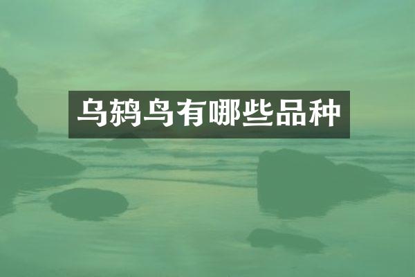 乌鸫鸟有哪些品种