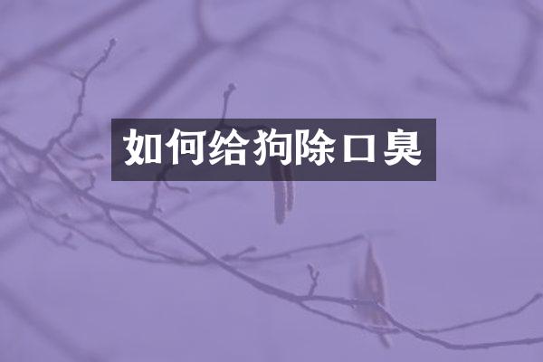 如何给狗除口臭