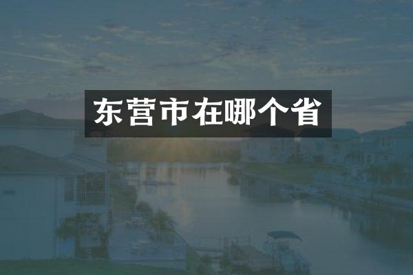 东营市在哪个省