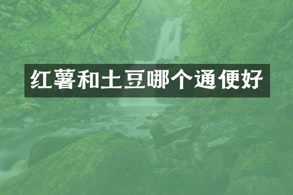 红薯和土豆哪个通便好