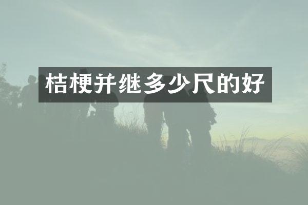 桔梗并继多少尺的好