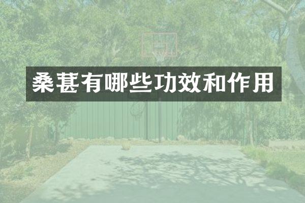 桑葚有哪些功效和作用