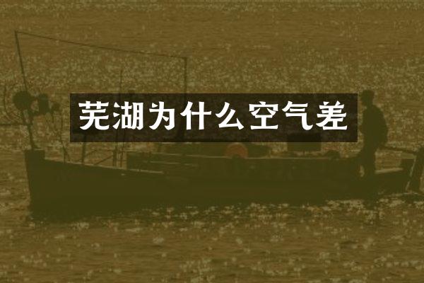 芜湖为什么空气差