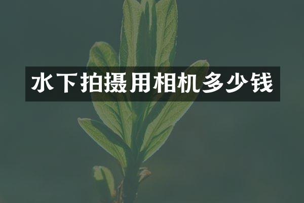 水下拍摄用相机多少钱
