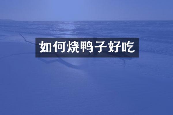 如何烧鸭子好吃