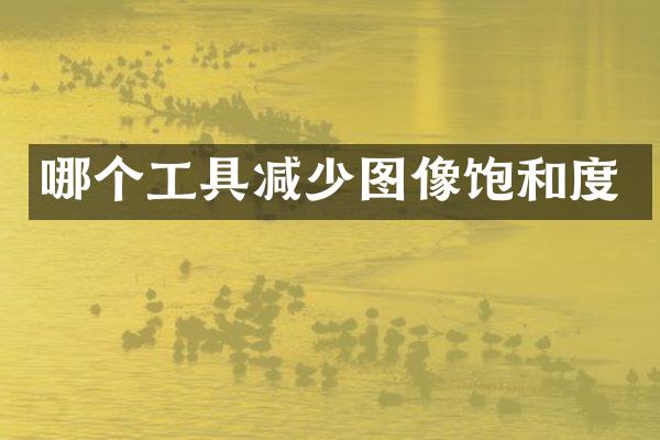 哪个工具减少图像饱和度