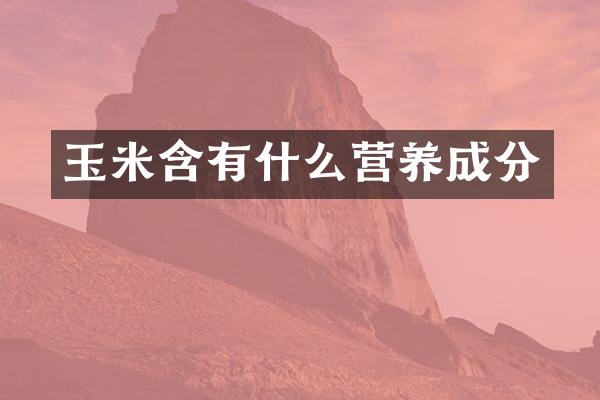 玉米含有什么营养成分