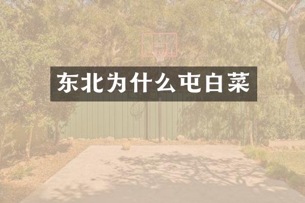 东北为什么屯白菜