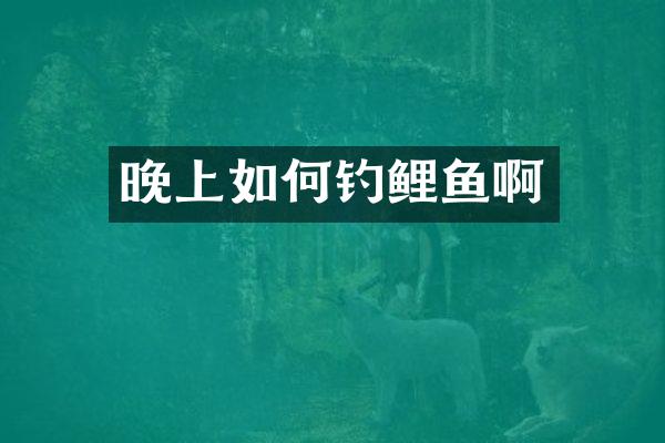 晚上如何钓鲤鱼啊