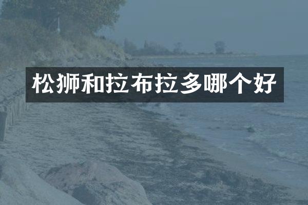 松狮和拉布拉多哪个好