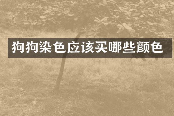 狗狗染色应该买哪些颜色
