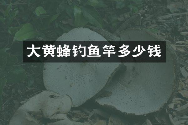 大黄蜂钓鱼竿多少钱